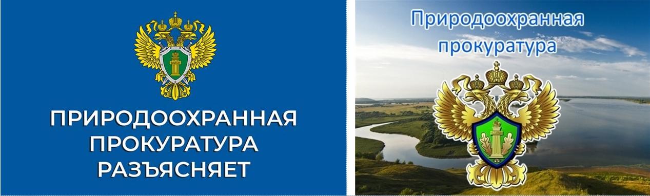 Прокуратура разъясняет.