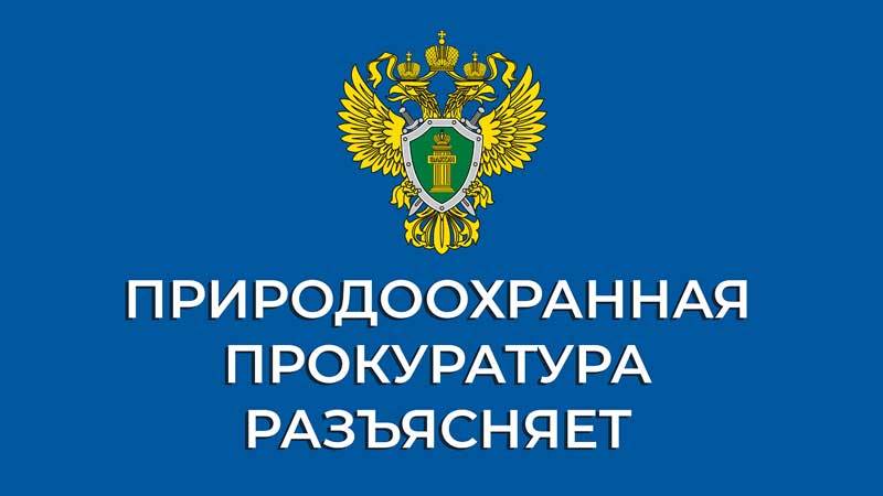 В Ульяновской области по постановлению природоохранного прокурора учреждение привлечено к административной ответственности за нарушение антикоррупционного законодательства..