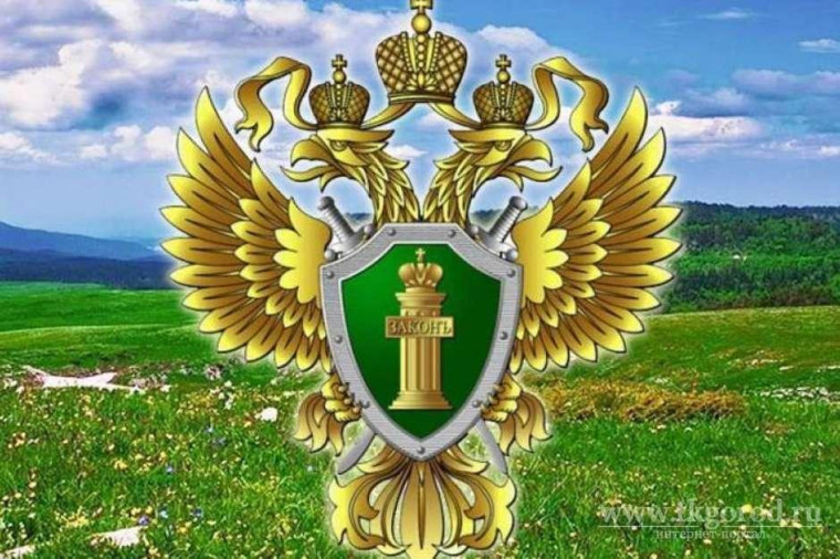 Ульяновская природоохранная прокуратура разъясняет. Ульяновская природоохранная прокуратура разъясняет.