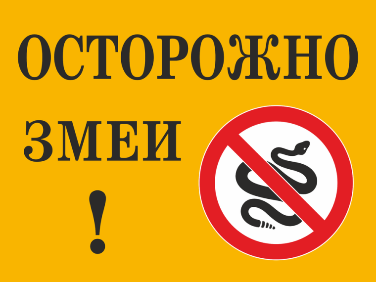 Администрация просит соблюдать правила по защите от укуса змеи. Администрация просит соблюдать правила по защите от укуса змеи.